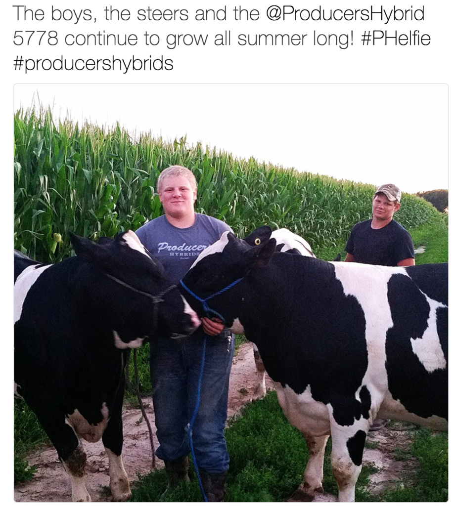 #PHelfie